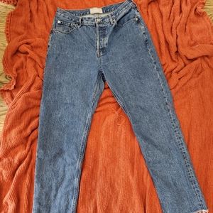 Everlane 90's cheeky medium blue wash